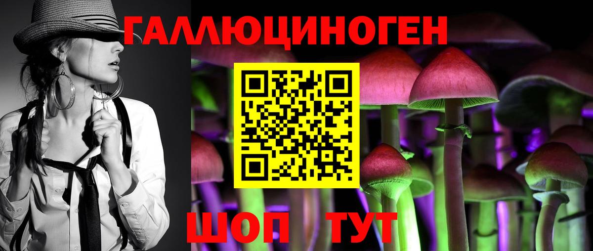 Советск  Псилоцибиновые грибы Psilocybe  Вход с VPN 